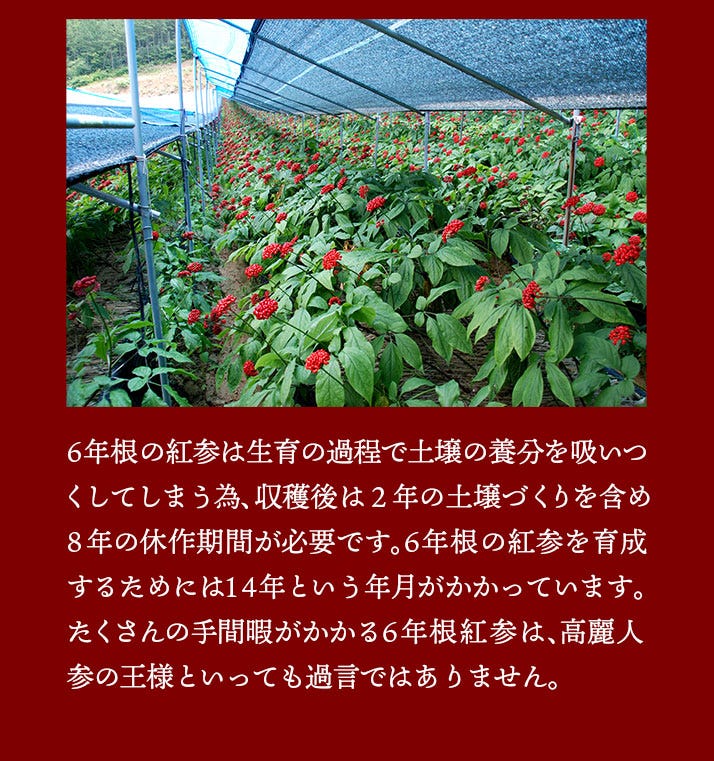 ロイヤルショット ロイヤルショット2（3本セット）