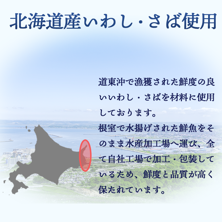 北海道道東沖