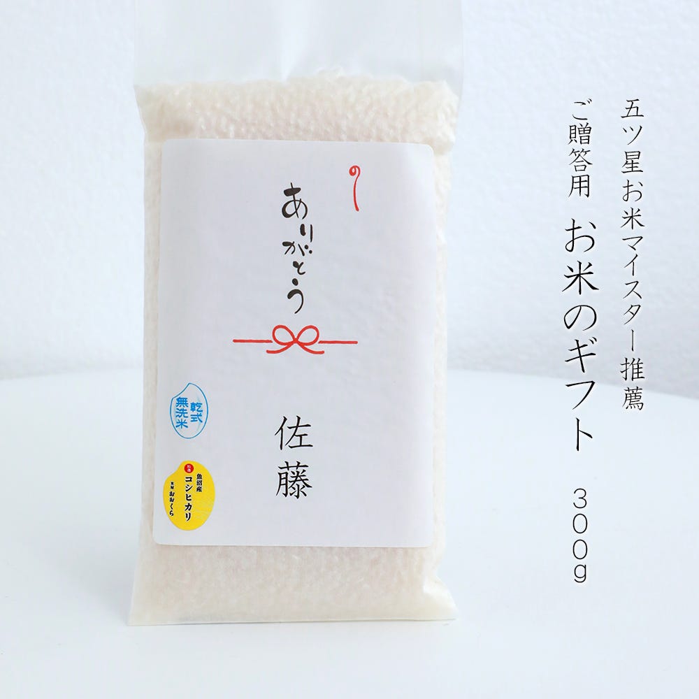 お米 ギフト   使い切りパック300g(約2合)