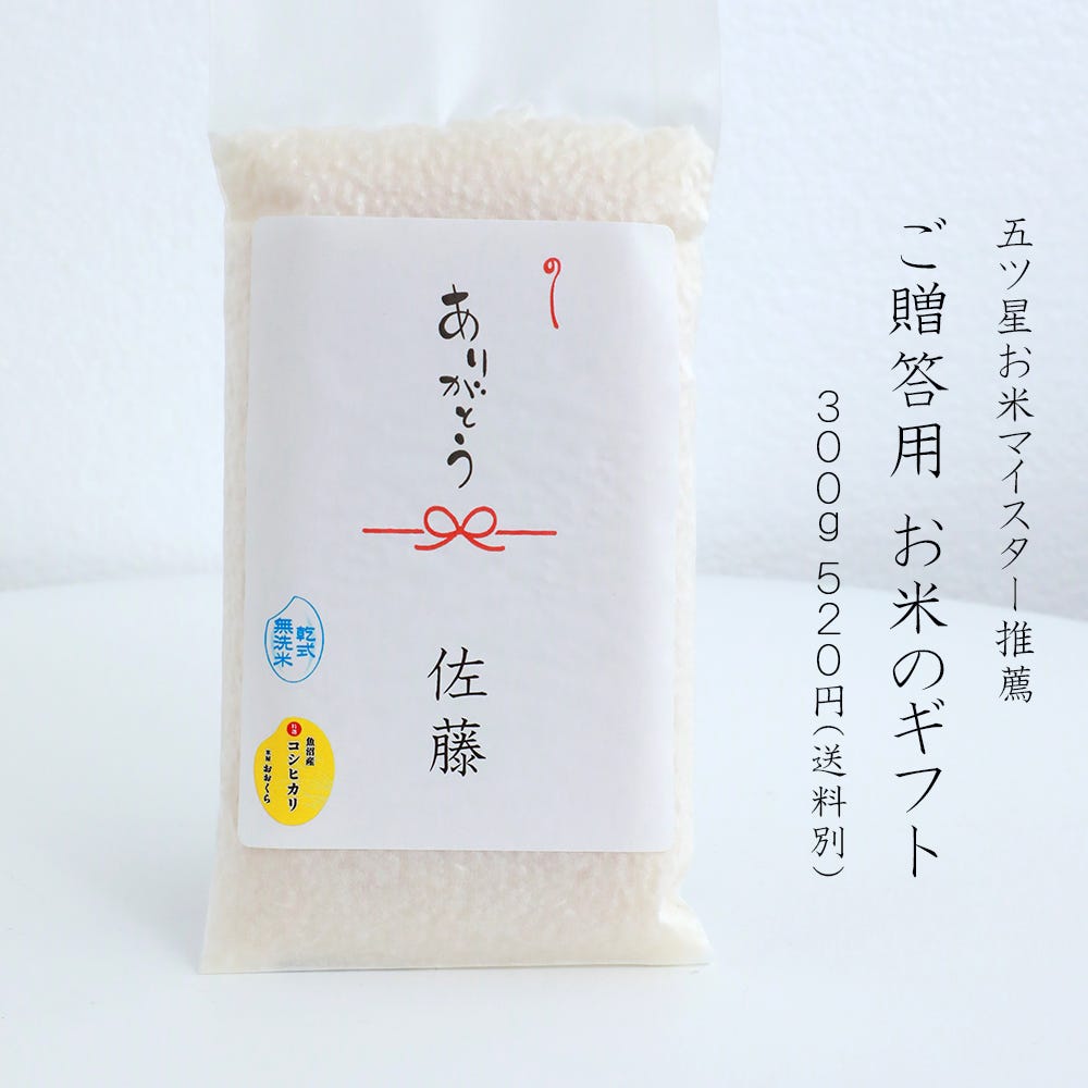 お米 ギフト   使い切りパック300g（約2合）