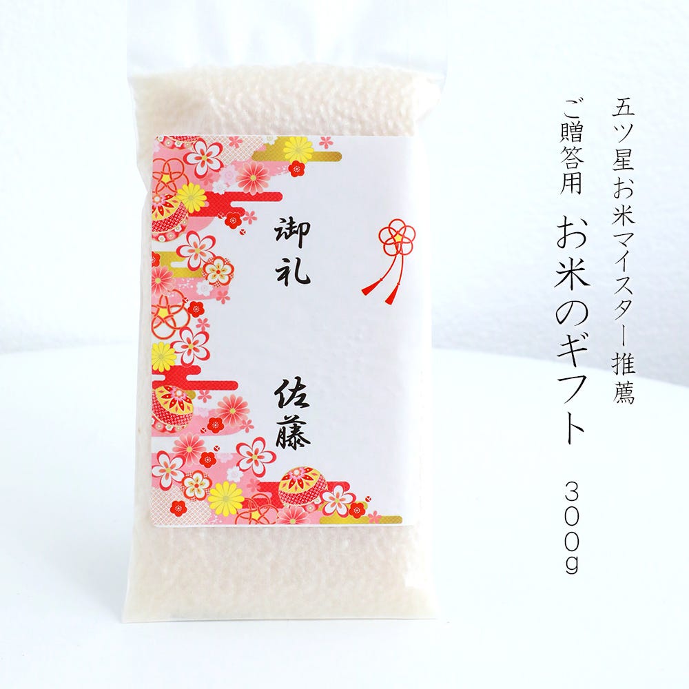 お米 ギフト   使い切りパック300g(約2合)