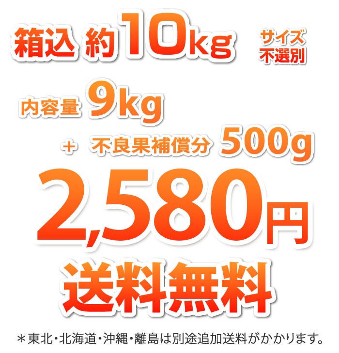 9kg2999円送料無料