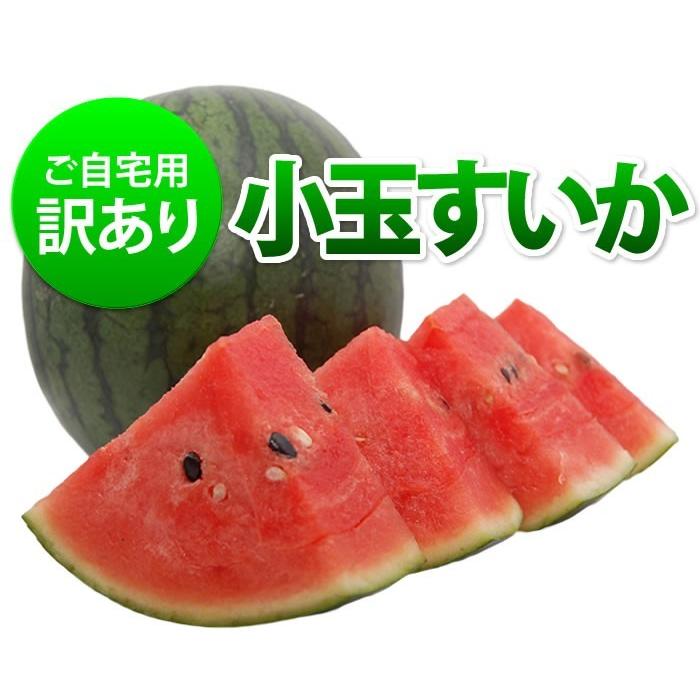 熊本県産大玉すいか