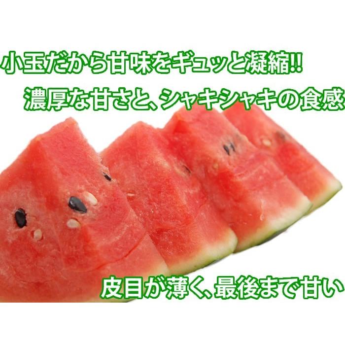 すいかの名産地