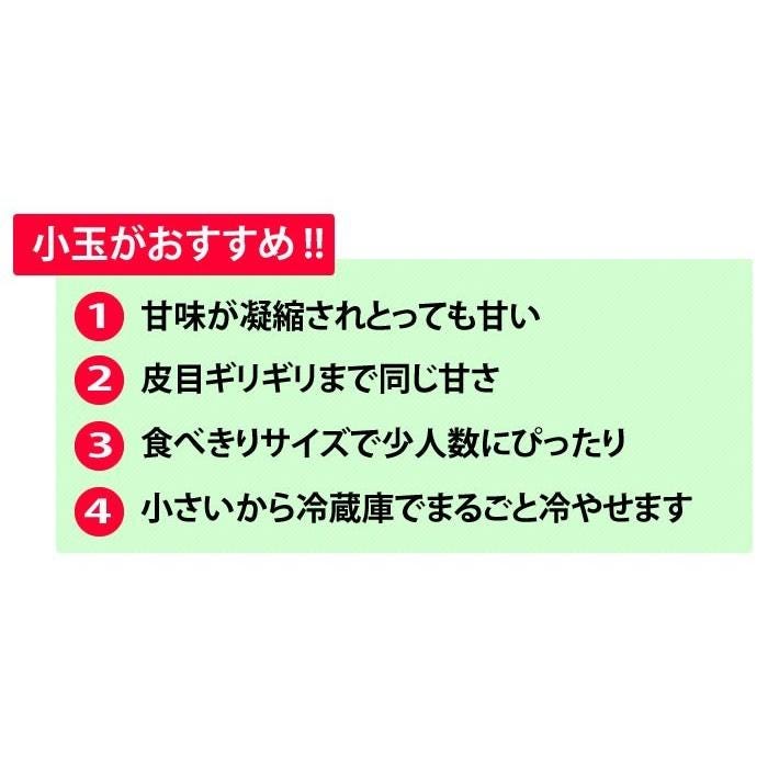 ご自宅用