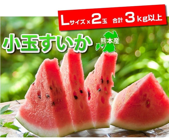 熊本県産大玉すいか