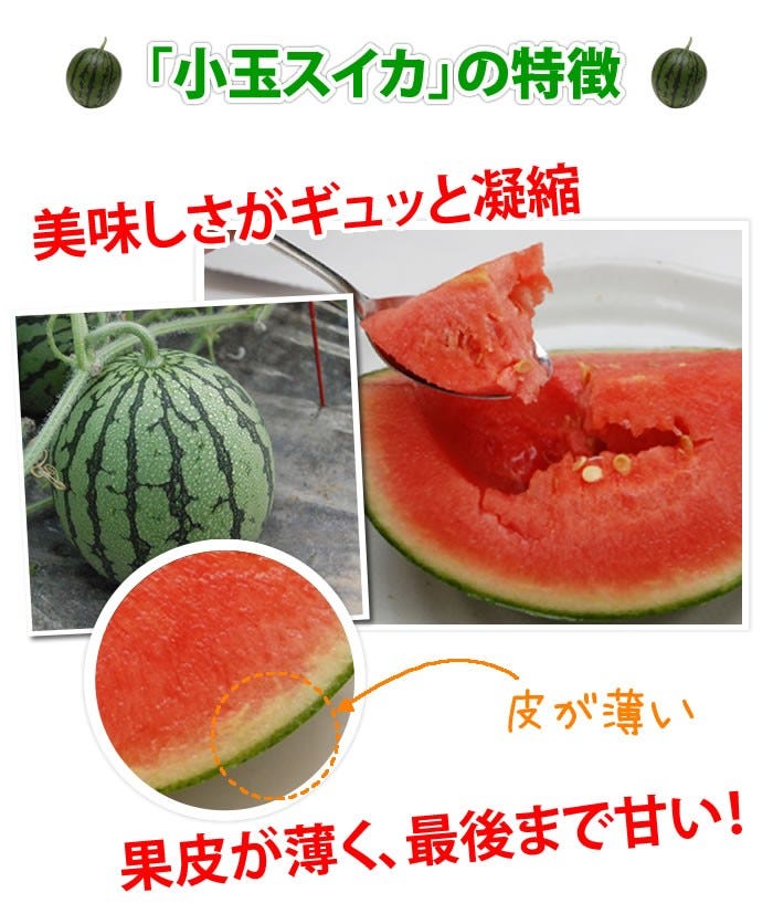すいかの名産地