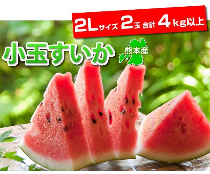 熊本県産大玉すいか