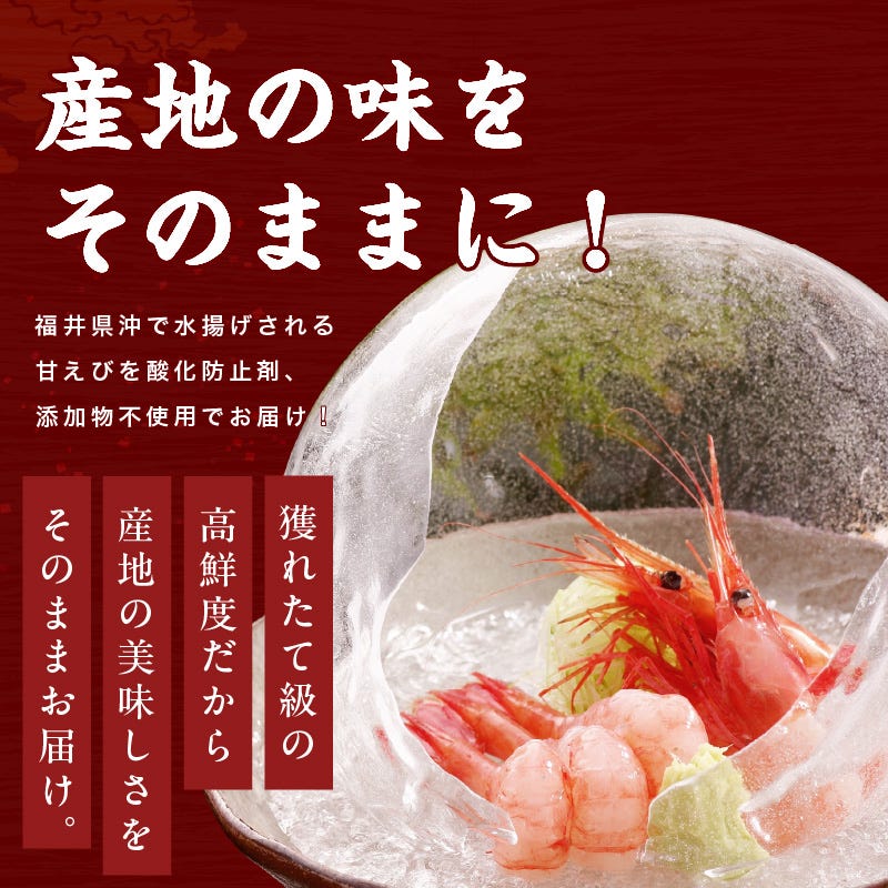 子持ち越前甘えび