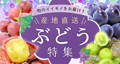 ぶどう特集