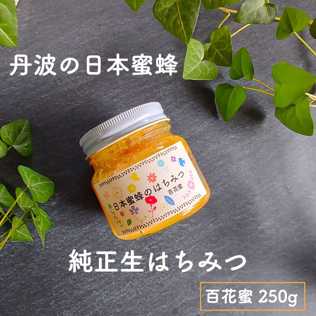 癒やし 日本蜜蜂 はちみつ 国産 非加熱 250g ニホンミツバチ ハチミツ 