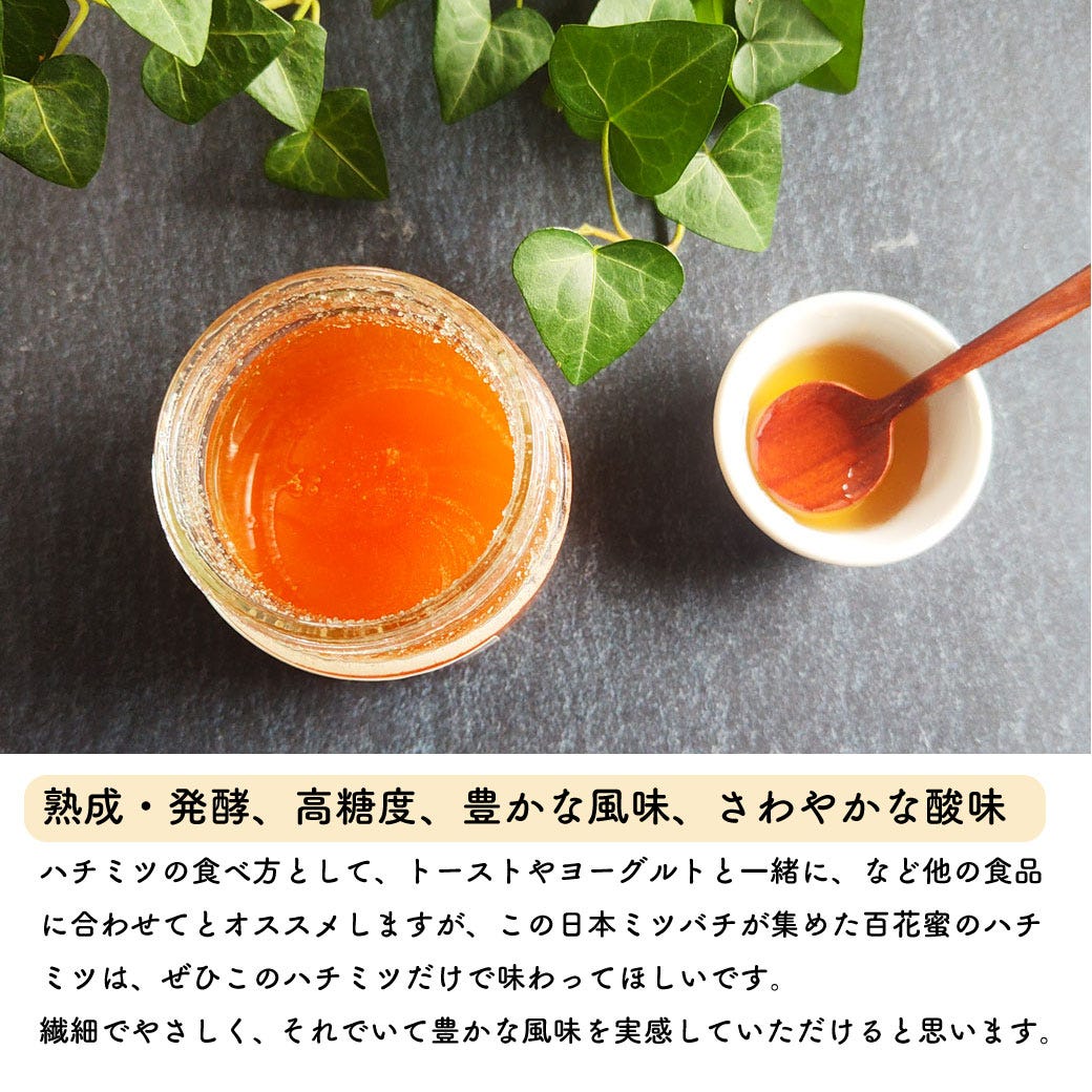 癒やし 日本蜜蜂 はちみつ 国産 非加熱 250g ニホンミツバチ ハチミツ 純粋はちみつ 生はちみつ 純正 蜂蜜 糖度79以上 兵庫県丹波市産  味わい豊かな百花蜜 ｜みのりの里の通販・お取り寄せなら【ぐるすぐり】