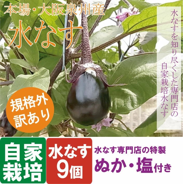 本場・大阪泉州産水なす、規格外訳あり