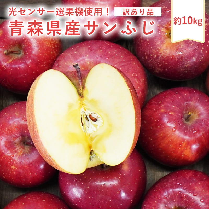 送料無料 青森県産 訳あり サンふじ ご家庭用10kg 人気の訳ありリンゴ