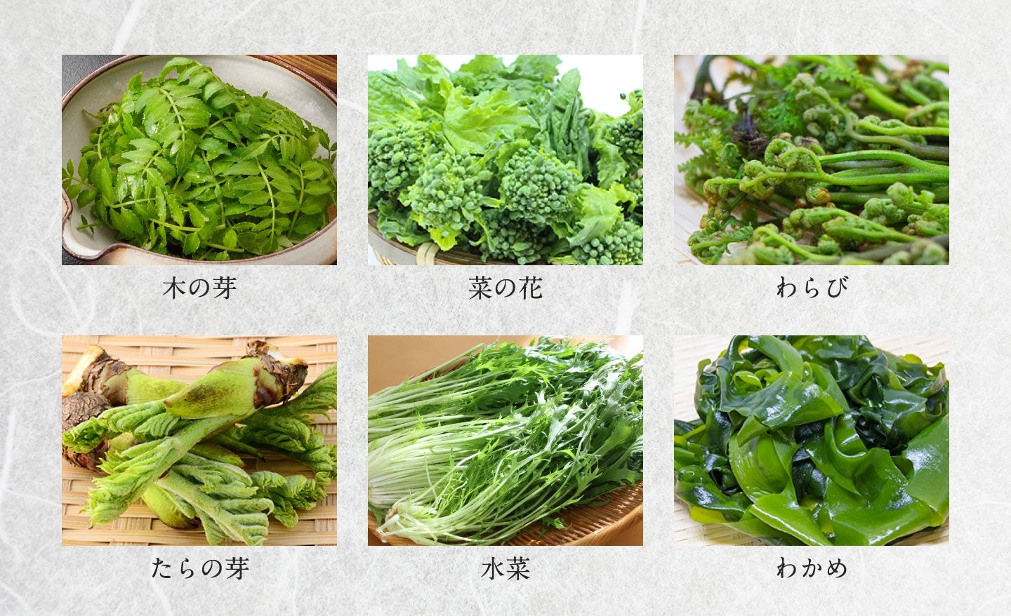 木の芽、菜の花、わらび、たらの芽、水菜、わかめ