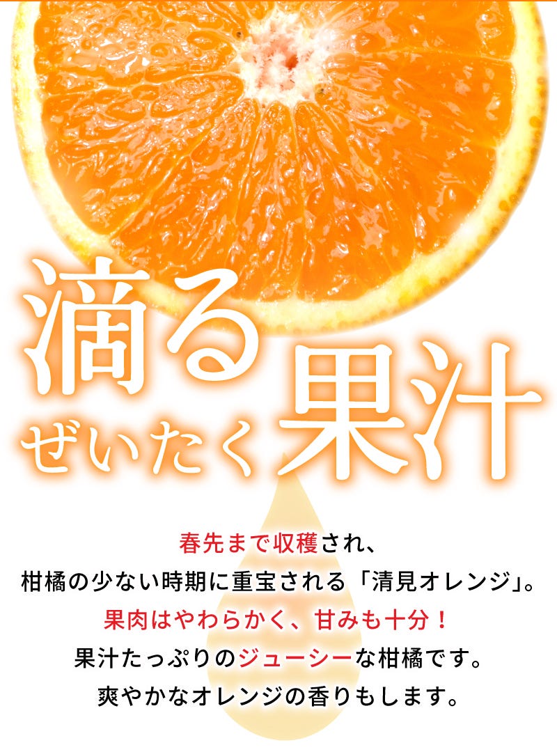 和歌山産 清見オレンジ 5kg 秀品 L〜3Lサイズ混合（15〜20玉前後 