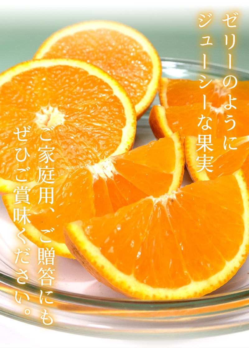 きよみオレンジ