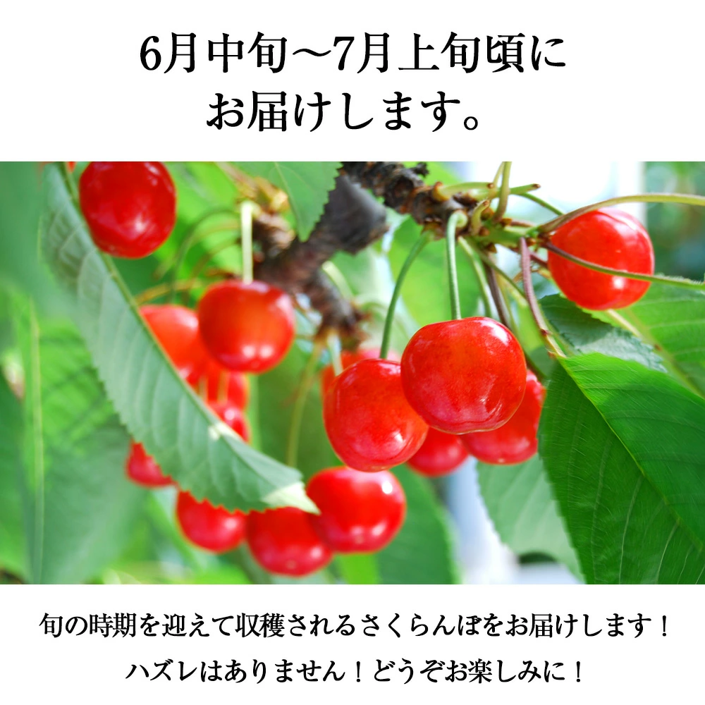 さくらんぼラッキーくじ