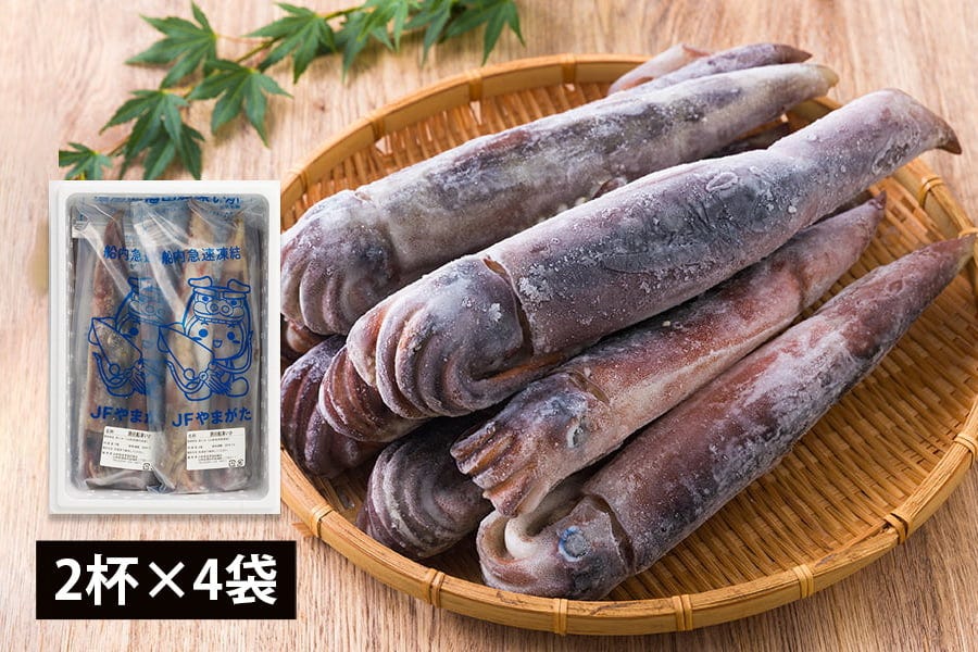 酒田船凍イカ
