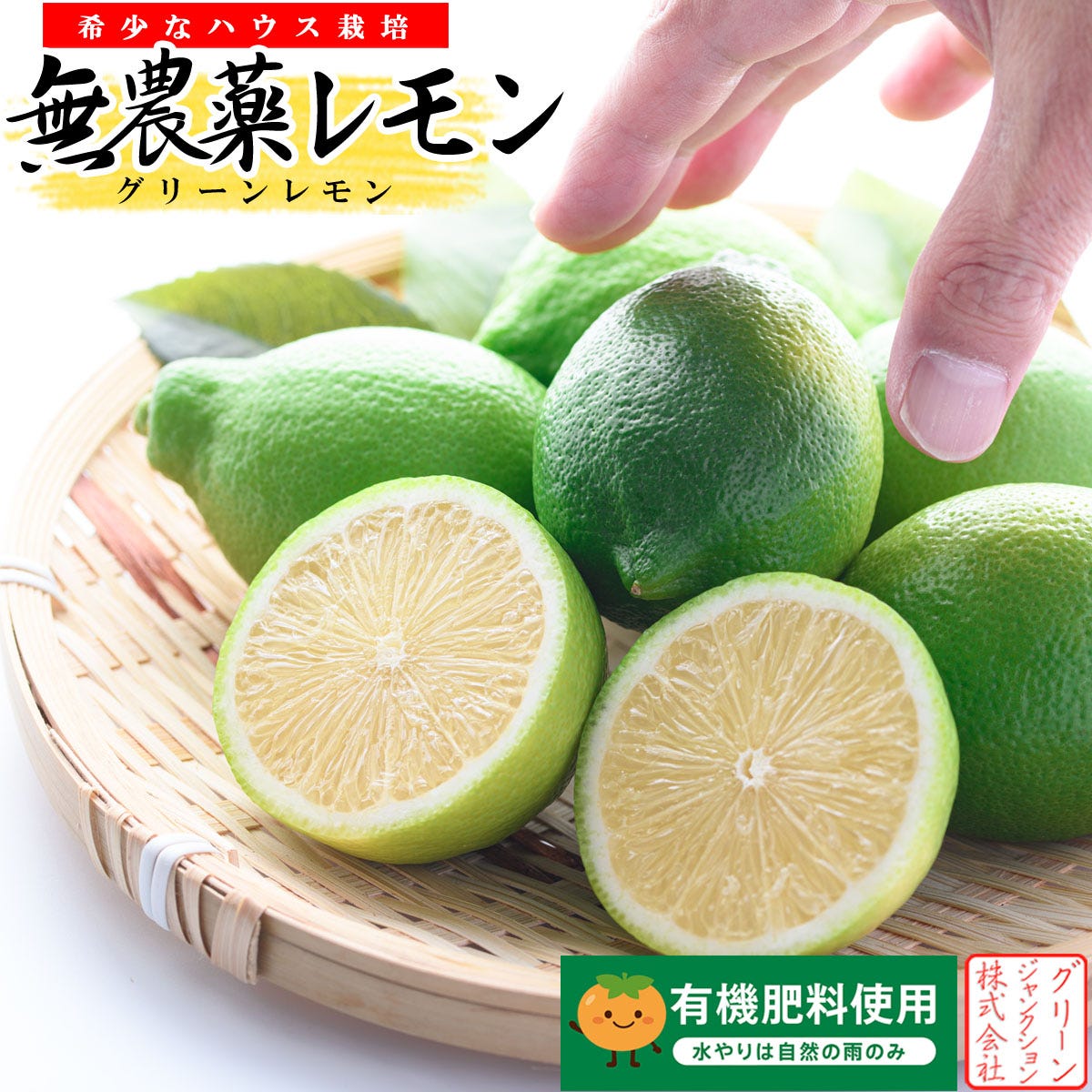 国産グリーンレモン 無農薬