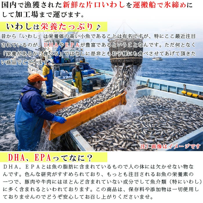国内で漁獲された片口いわし