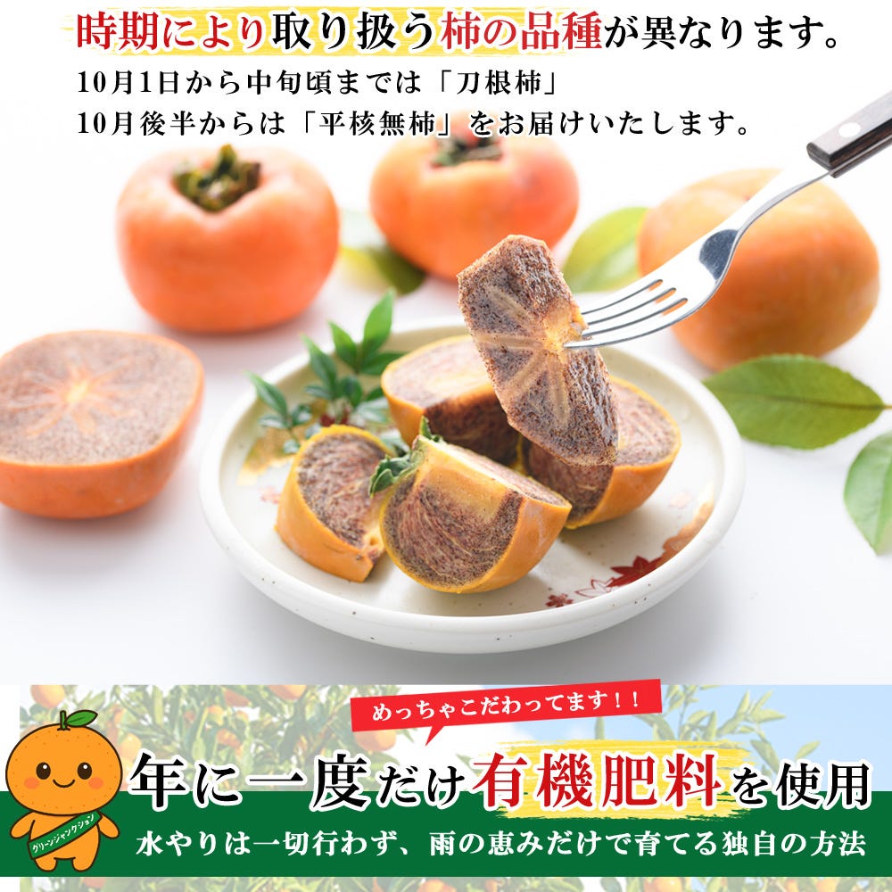 見た目に色むらや傷があっても美味しい黒星柿 無農薬で安心な和歌山県産 紀ノ川柿 ブラックスター