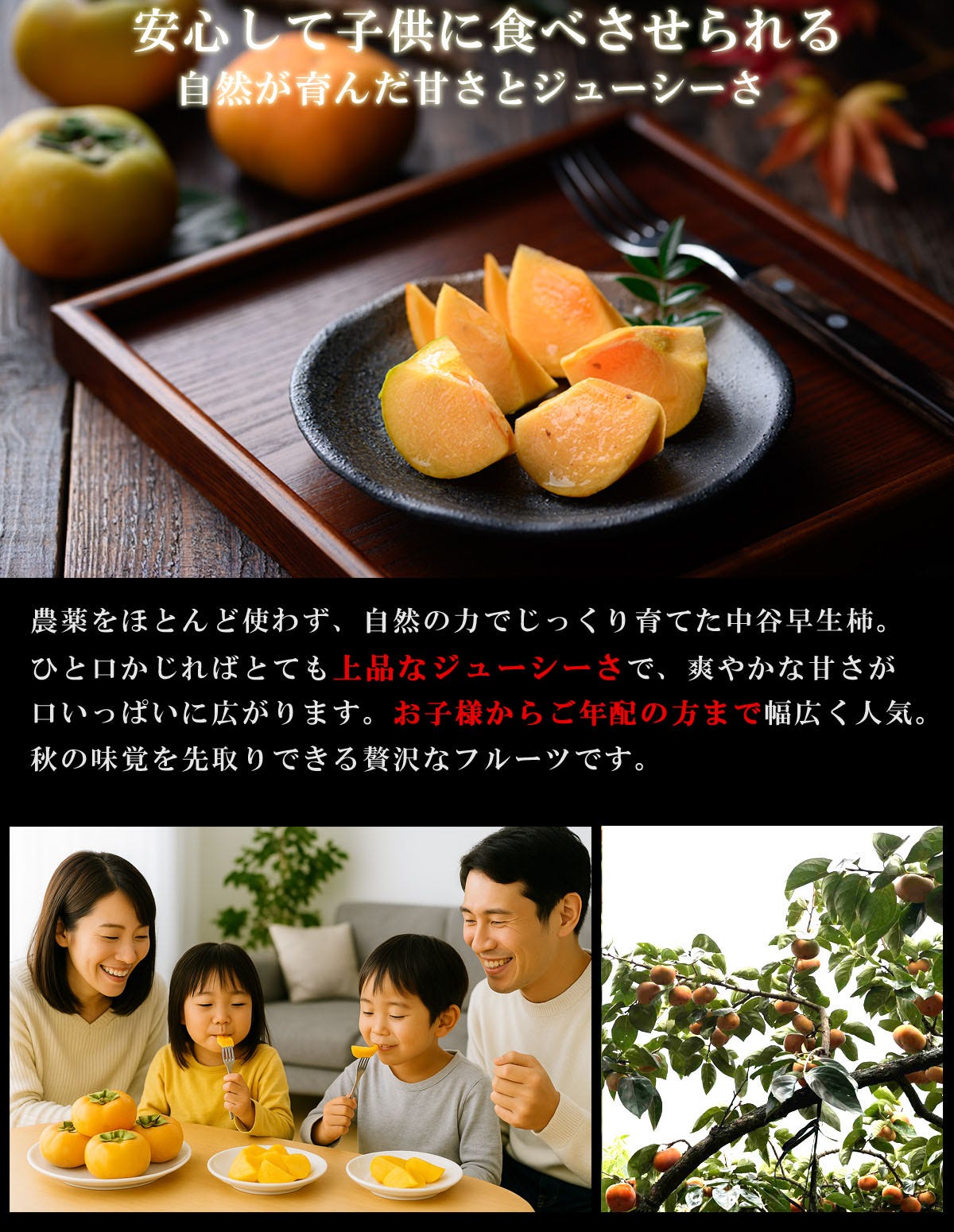 和歌山産 種なし柿 中谷早生柿 ジューシー 甘い柿