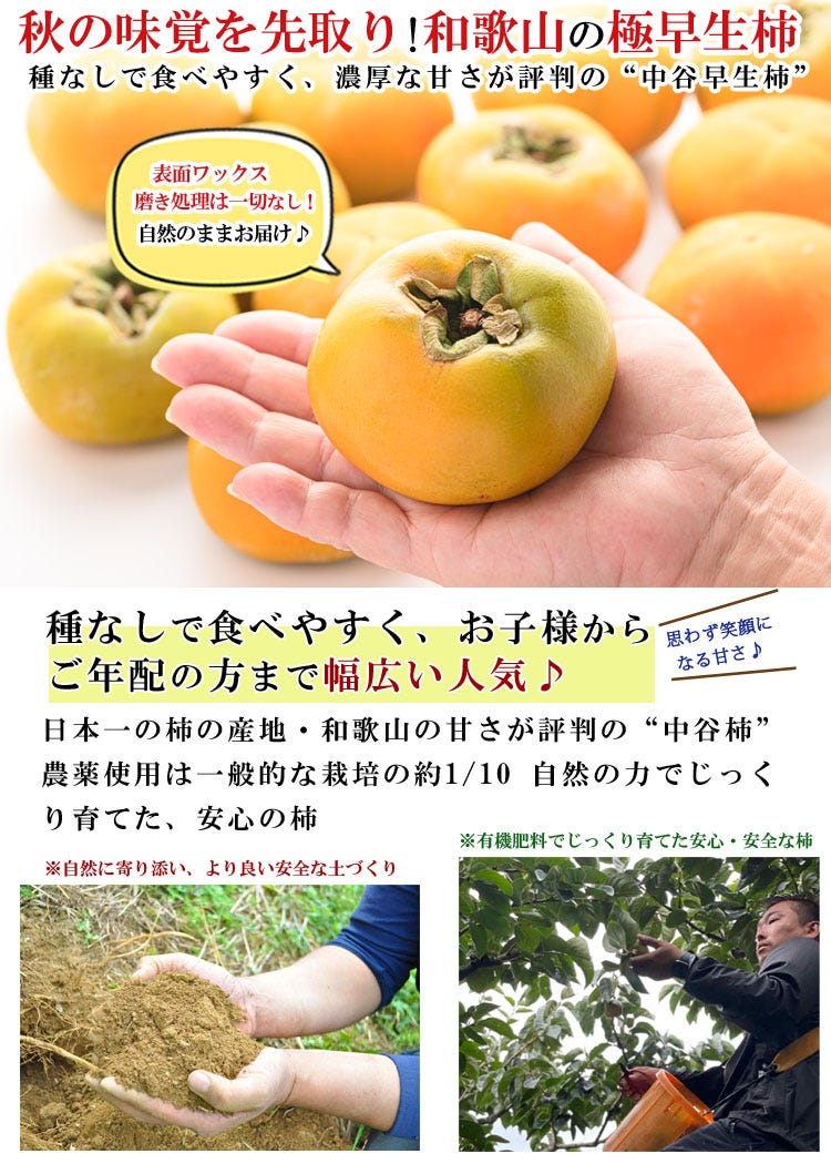 和歌山県産 極早生柿 中谷早生柿 種なし柿 秋の味覚