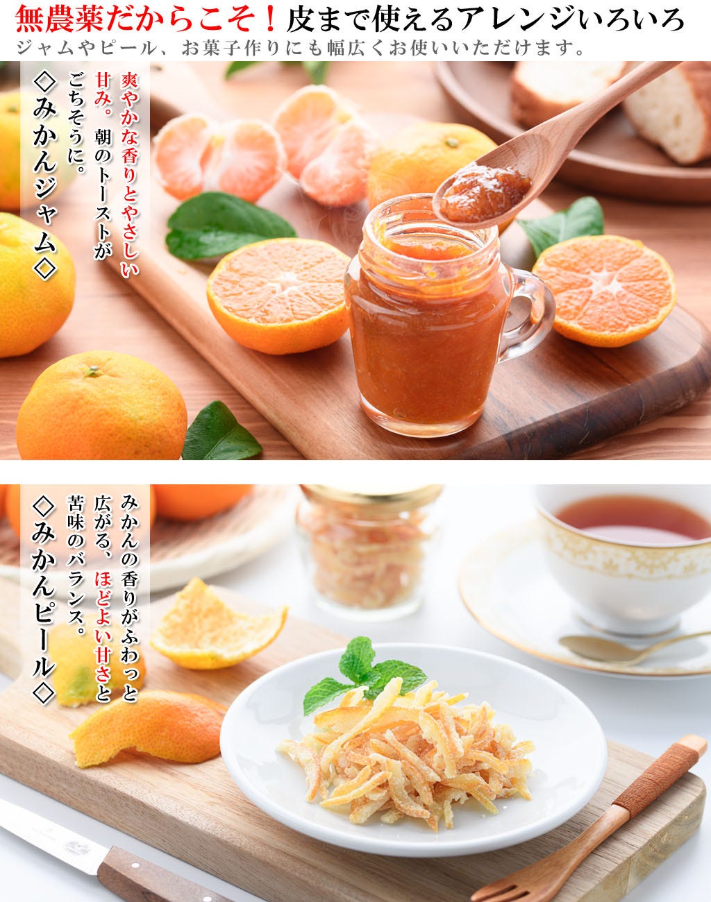 数量限定 ご予約受付中 無農薬みかん