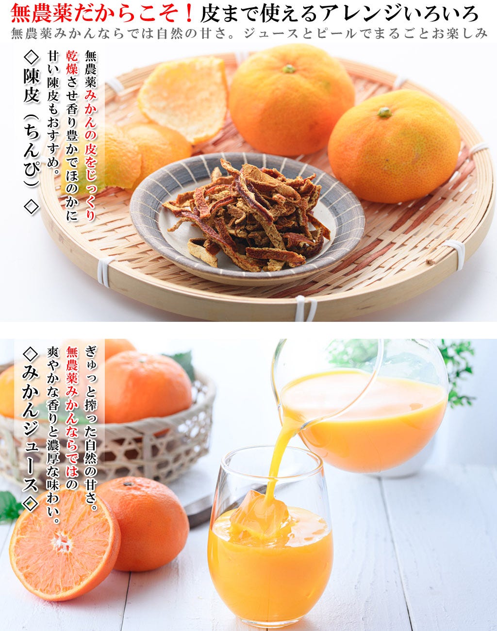 発送時期 10月は青みあり 11月以降は完熟