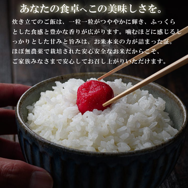 茶碗によそった白ご飯のクローズアップ