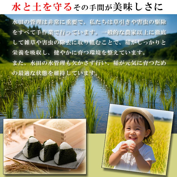 自然に寄り添った土づくりのイメージ