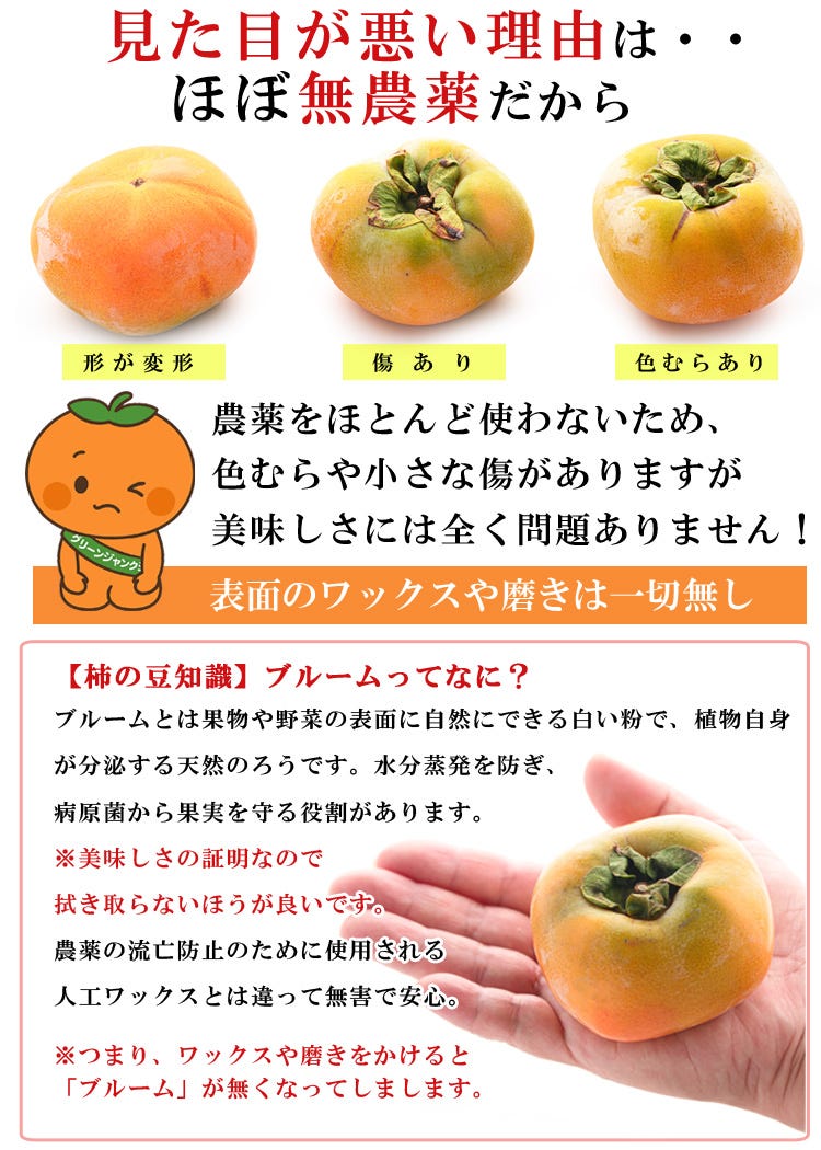 黒星柿 ブラックスター 専用ギフト箱入り 高級感ある和歌山産種なし柿 贈答用にもおすすめ