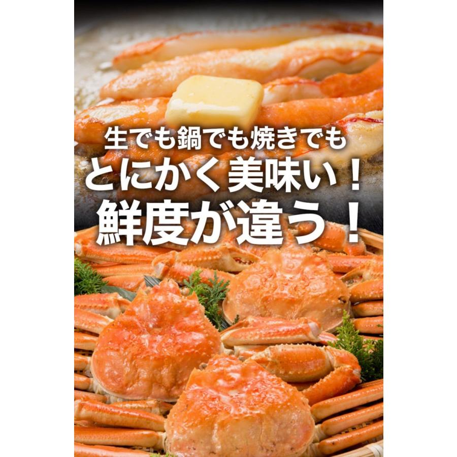 おさかな問屋魚奏