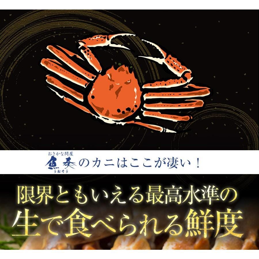 おさかな問屋魚奏