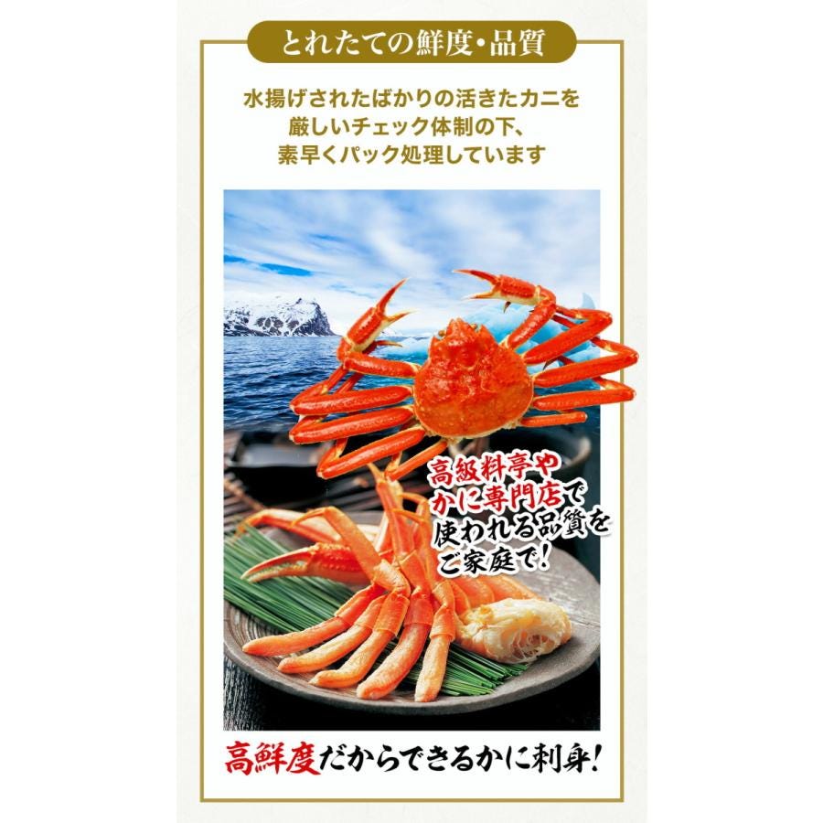 おさかな問屋魚奏