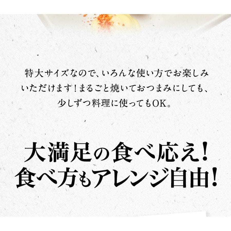 いか
