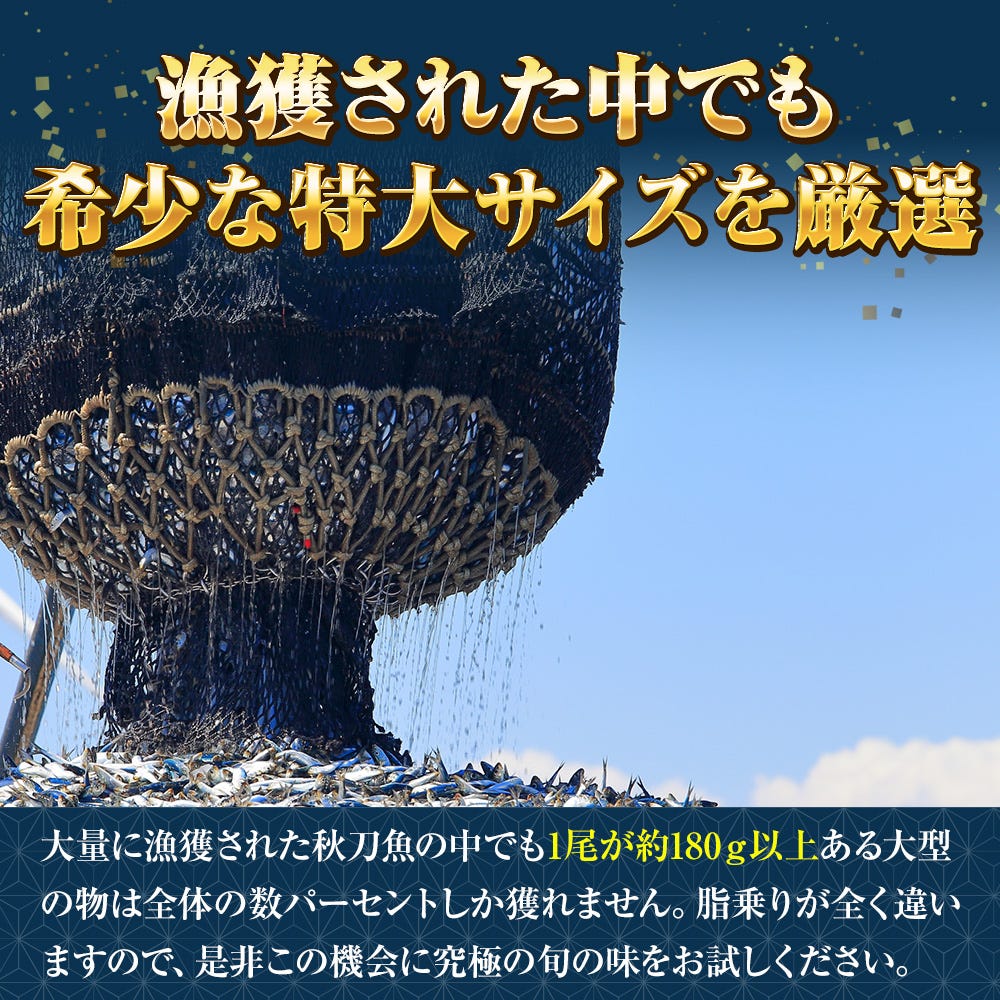 おさかな問屋魚奏