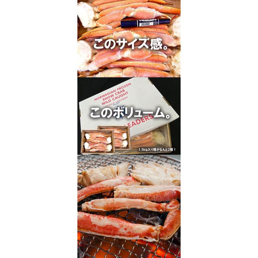 おさかな問屋魚奏