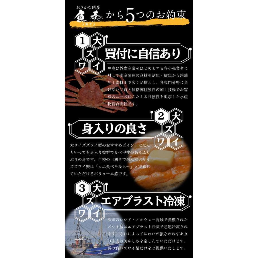 おさかな問屋魚奏