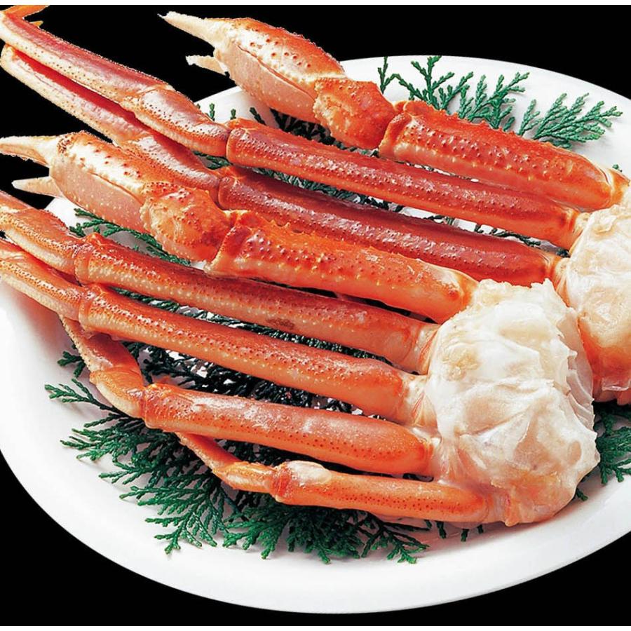 おさかな問屋魚奏
