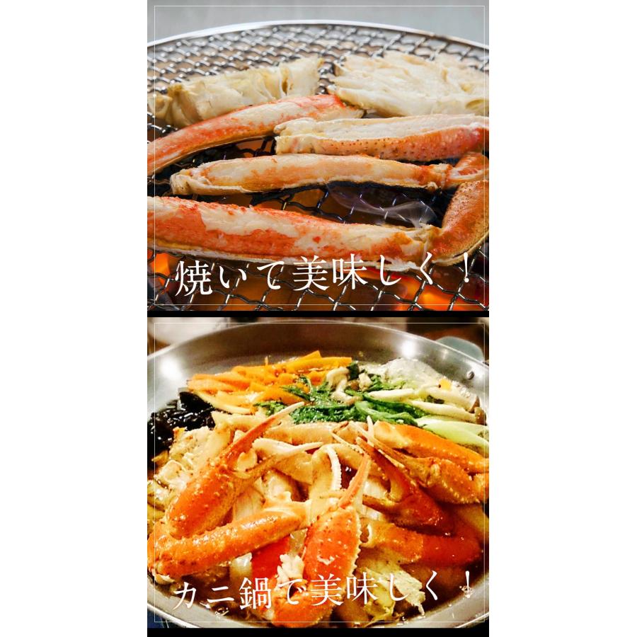 おさかな問屋魚奏