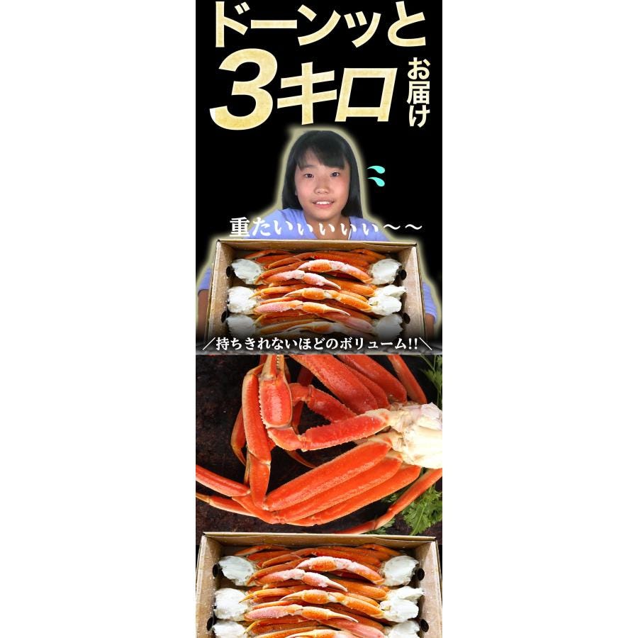 おさかな問屋魚奏