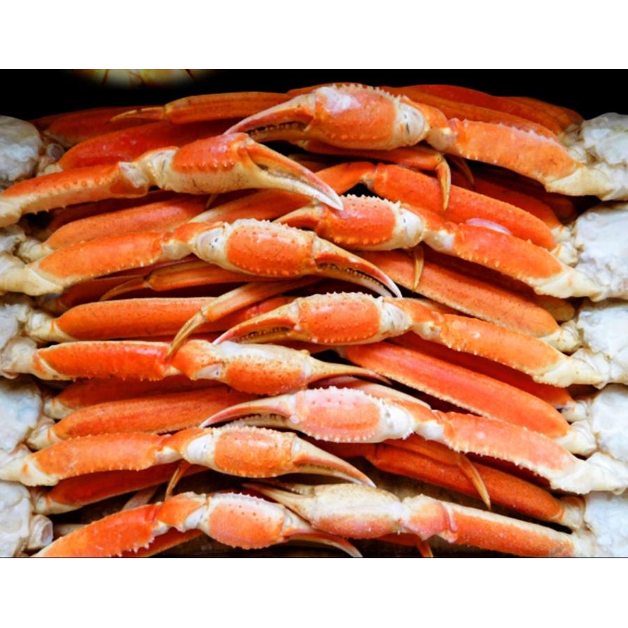 おさかな問屋魚奏