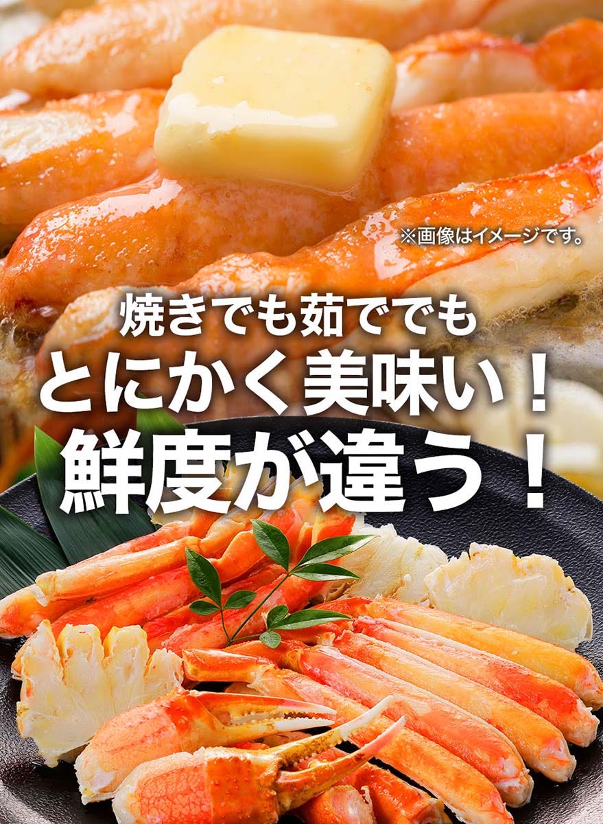 おさかな問屋魚奏