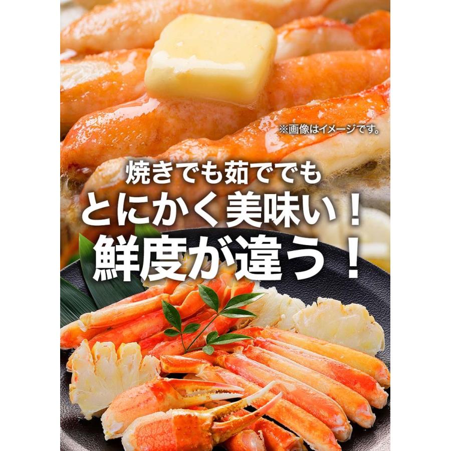 おさかな問屋魚奏
