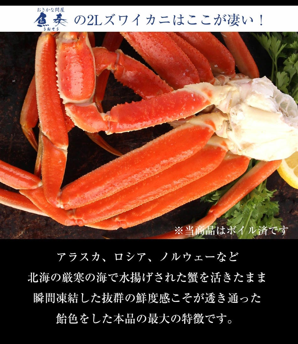 おさかな問屋魚奏