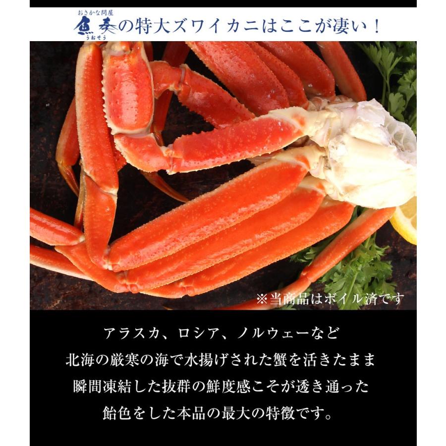 おさかな問屋魚奏