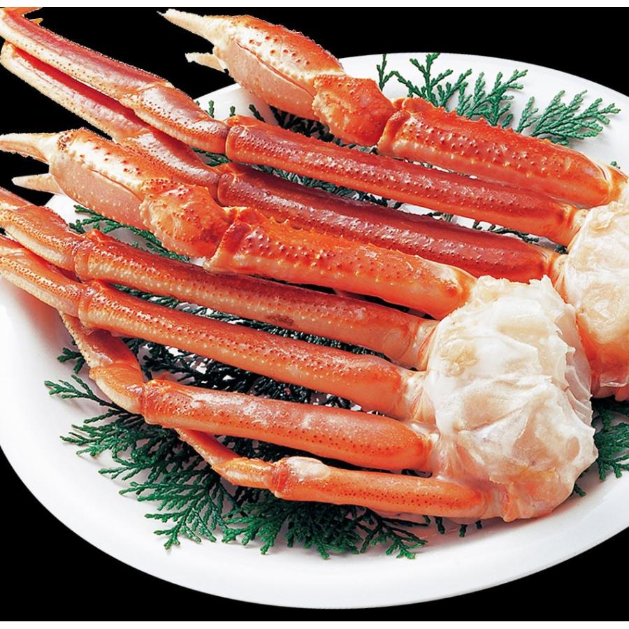 おさかな問屋魚奏