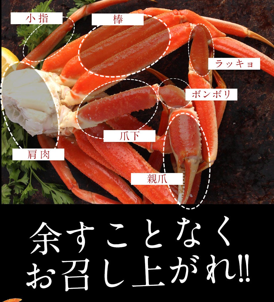 おさかな問屋魚奏